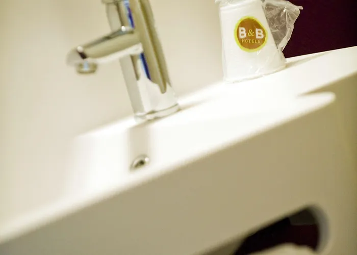 La Roche-sur-yon فندق