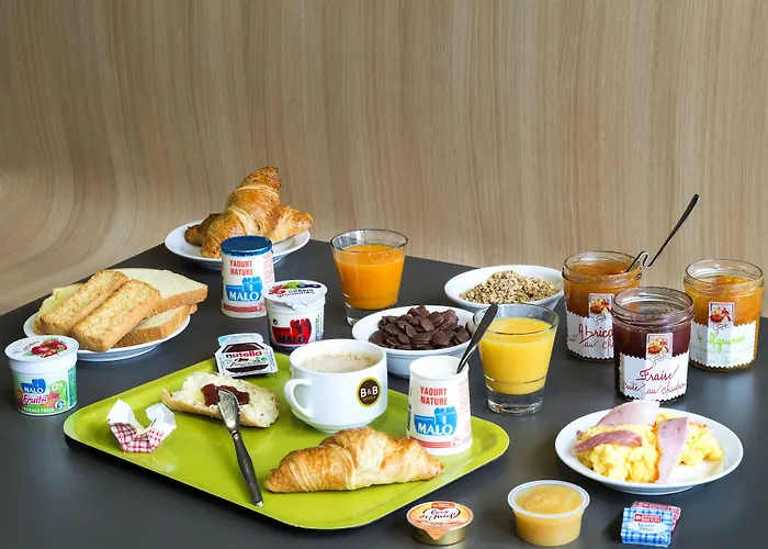 فندق La Roche-sur-yon 2*